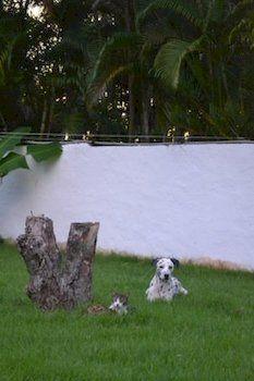 Hostel Laguna Park Cabarete Exterior photo